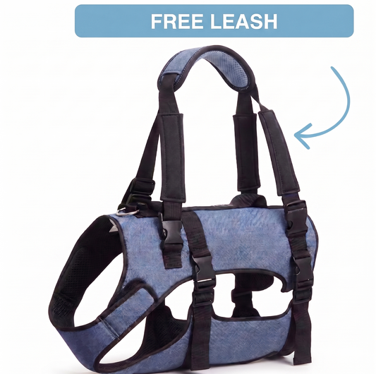 Loya™ Mobility Support Harness (15lbs. - 135lbs.)