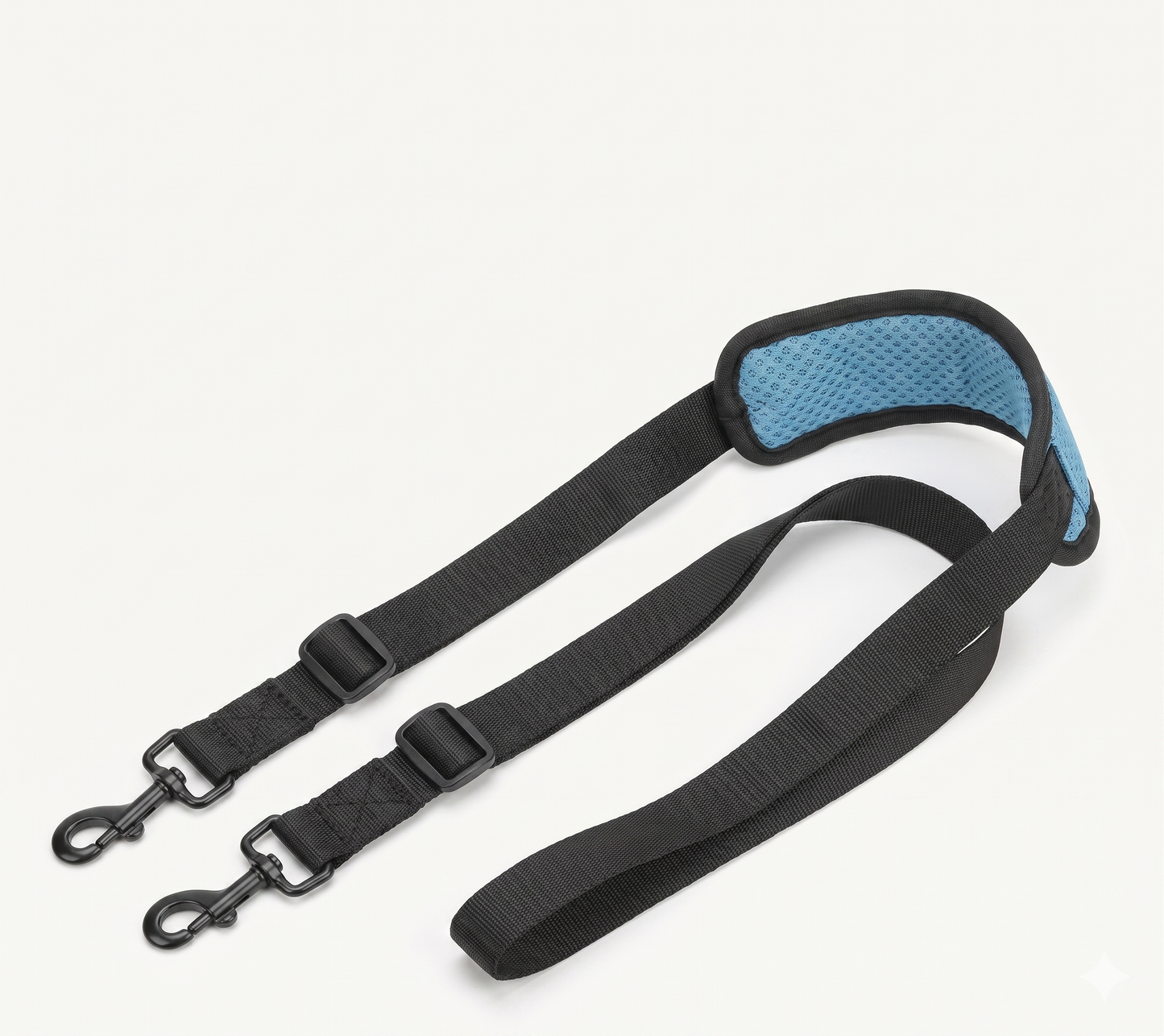 Loya™ Assist Leash